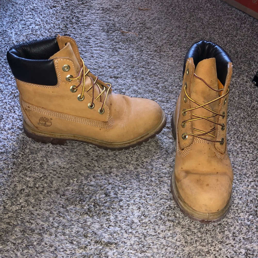 Timberlands - Picture 2 of 11